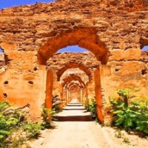 Africa Marruecos
