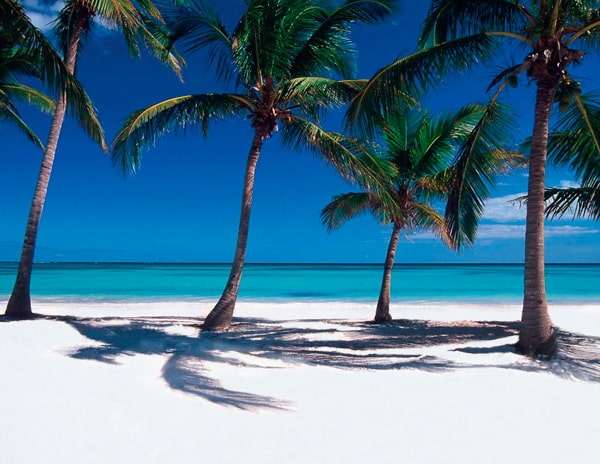 En este momento estás viendo Mejor época para viajar a Punta Cana